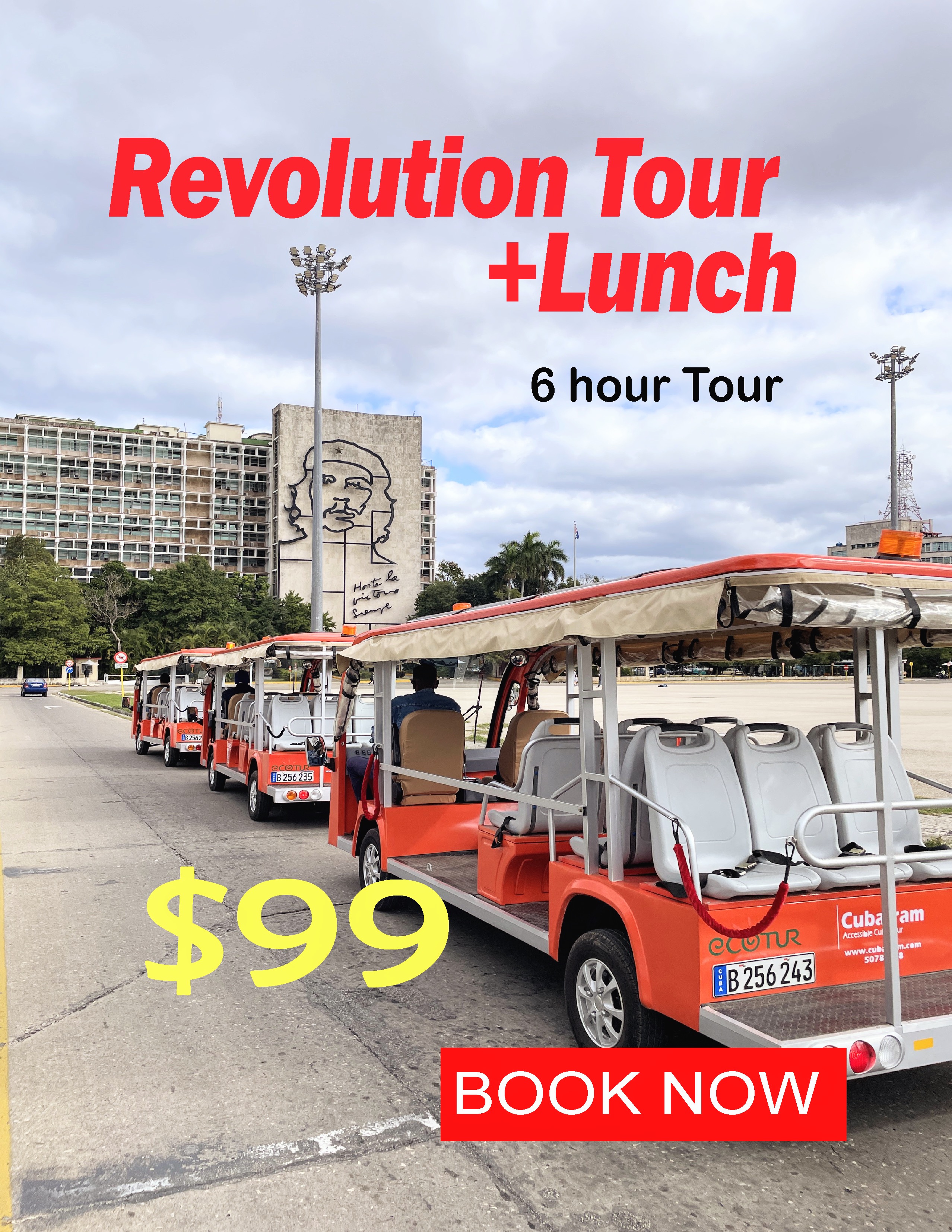 TOUR REVOLUTION